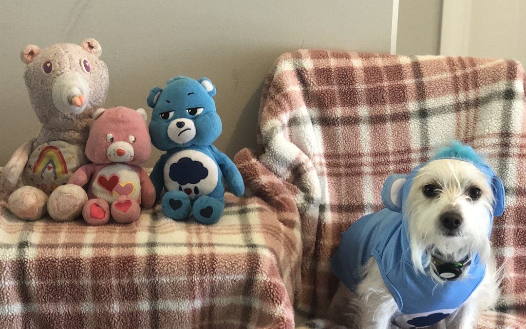 Loki vs. Clothes & Costumes